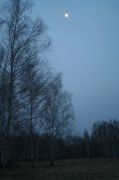 IMG 4854