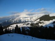 ������� 230