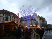 Strasbourg. New Year