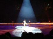 Lambiel Show. Sarah Meier