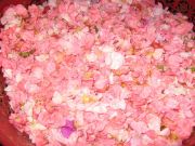 �������� ���