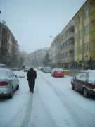 DSCN7678