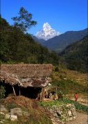 Mt. Machhapuchhare (6996)