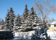 ��� �� ����� ����