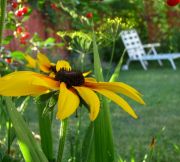 � � ��� � �������