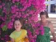 � ������