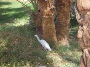 ������ � ����������� ������