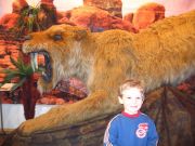 ��� ������� 013