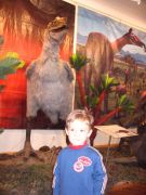 ��� ������� 012