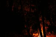 IMG 7219