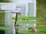 � � ����� ���� ����� ������!