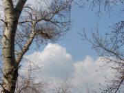 ����� �����!