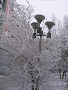 ���� 2005�� 