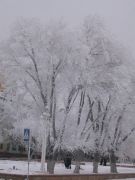 ���� 2005�� 