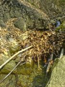 �������� �����   