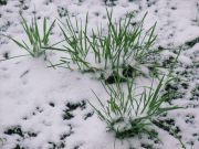 16 ������!!!