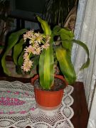 PICT0053 �����.������