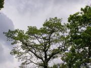 P5030038