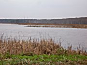 -36