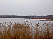 -35