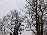 -19