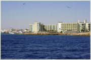 IMG 4088