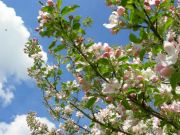 ������ � �����