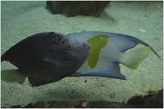 IMG 4185