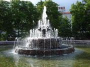 DSC00619