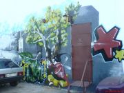 DSC00093