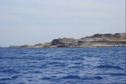 IMG 4578 2