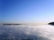 �������-2008 461