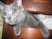 2008 () 020