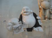 IMG 8155