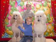 ����, ����, ������ 2007�.