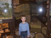 ���� � ��������, ������ 2008�.