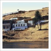 rocodile house