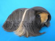 ��� ���� ������