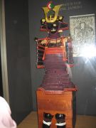 IMG 6144