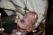 IMG 0681