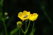DSC 5138��
