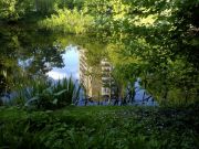 ���������, ������� ��� ������