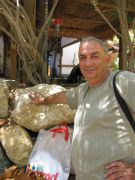 ����� � ������ 2008