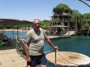  � ������  2008