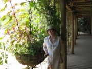 �����  2008