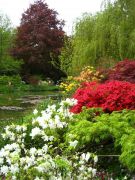 giverny3