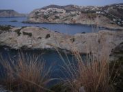 ������, ��������65