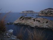 ������, ��������66