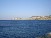 ������, ��������80