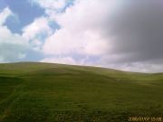 IMAGE 00421